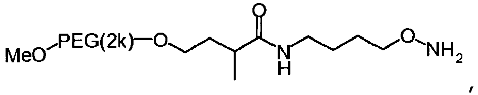 Figure imgb0024