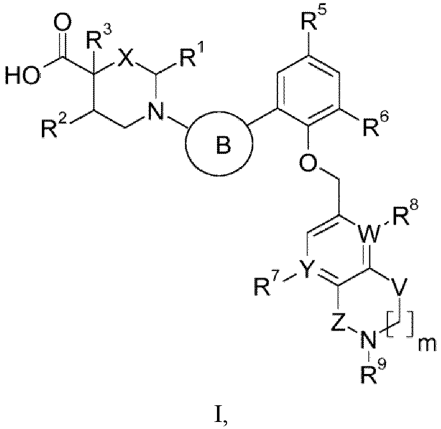 Figure imgb0337