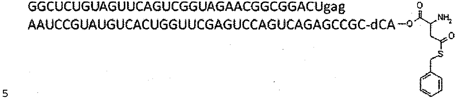 Figure imgb0107