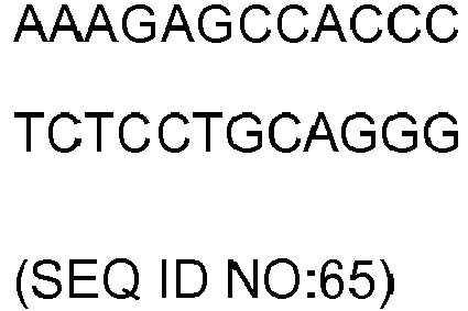 Figure imgb0031