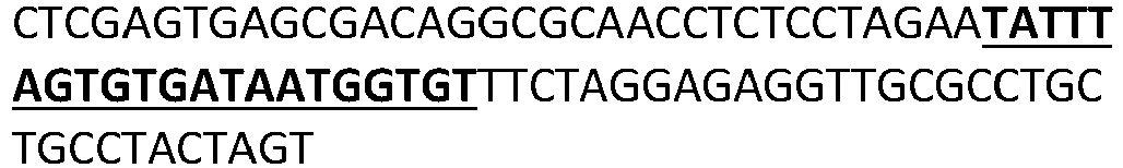Figure imgb0002