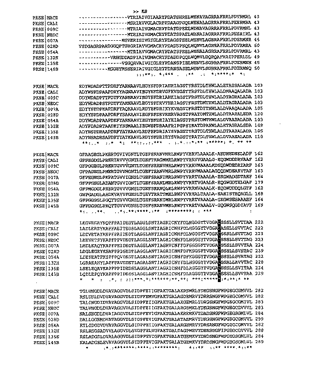 Jp2005508140a エンジイン環構造の生合成に関与する遺伝子及びタンパク質 Google Patents