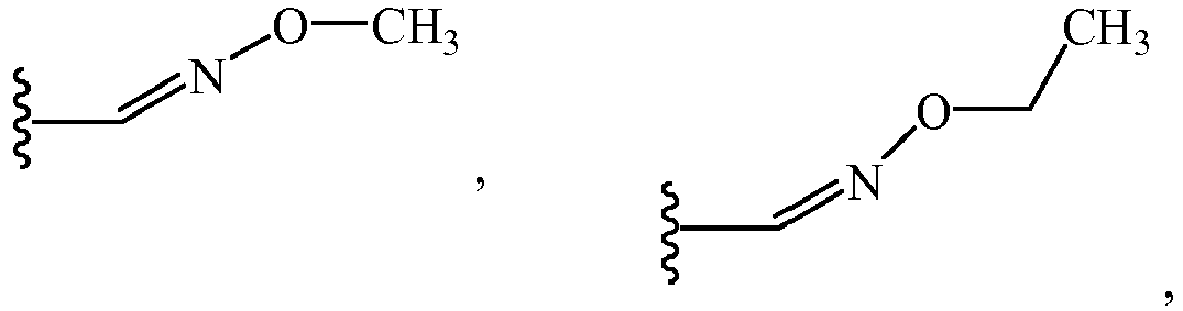 Figure imgb0051