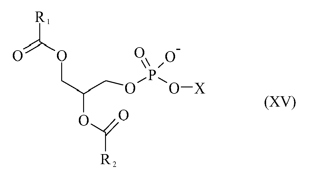 Figure imgb0049