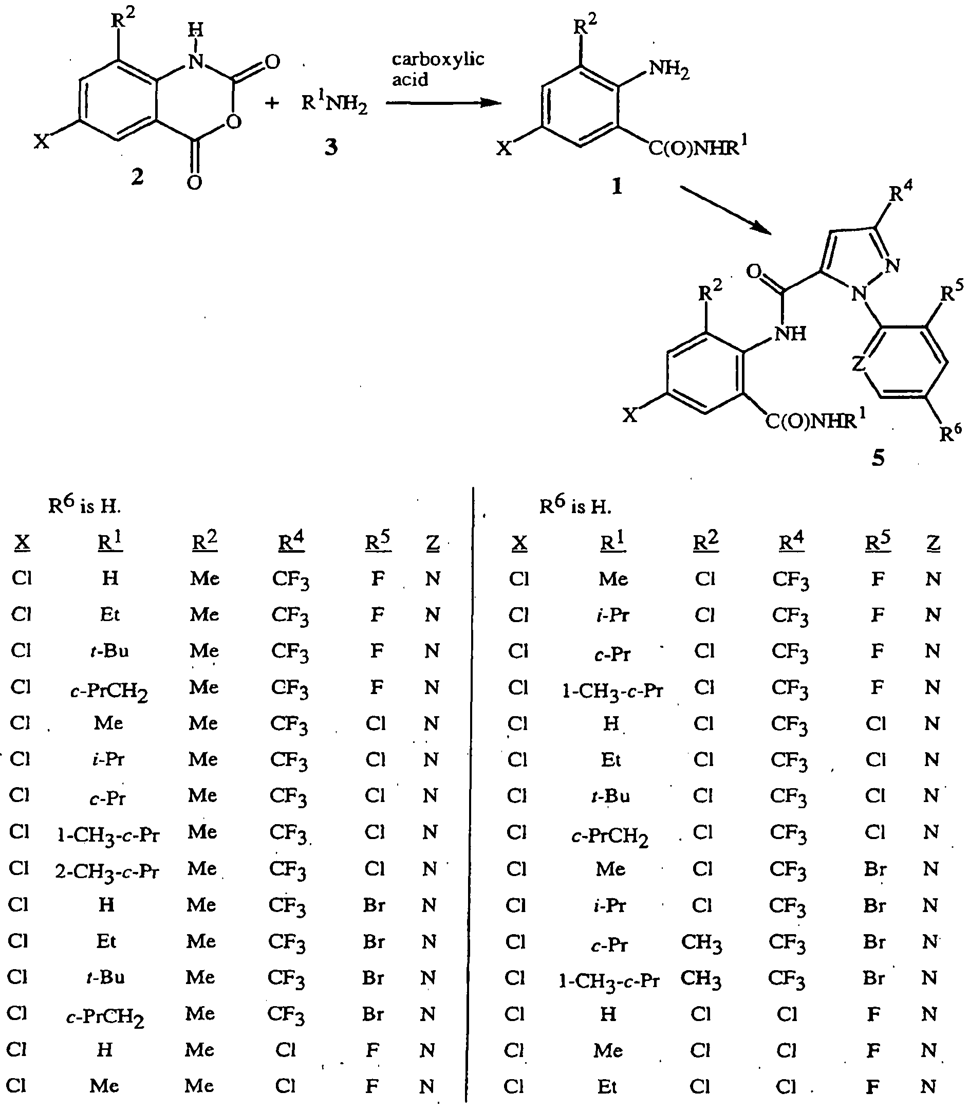Figure imgf000024_0001