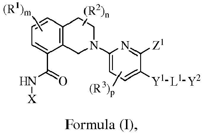 Figure imgb0106