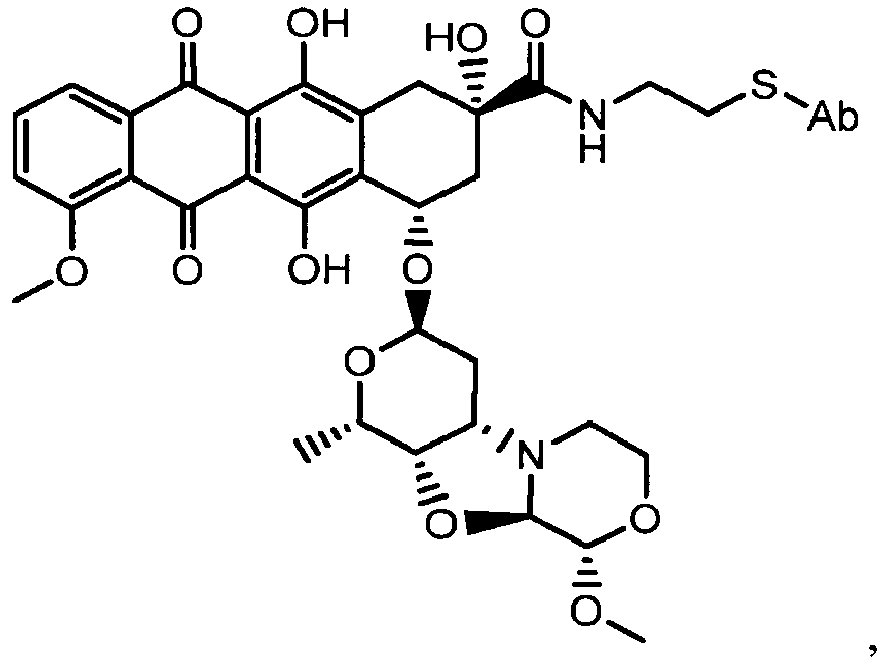 Figure imgb0125