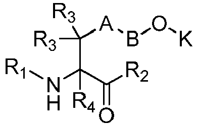 Figure imgb0076
