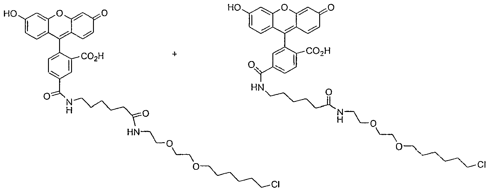 Figure imgb0022