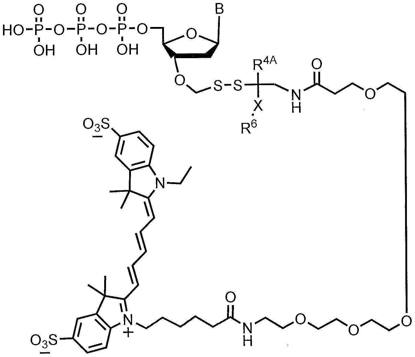 Figure imgf000250_0001
