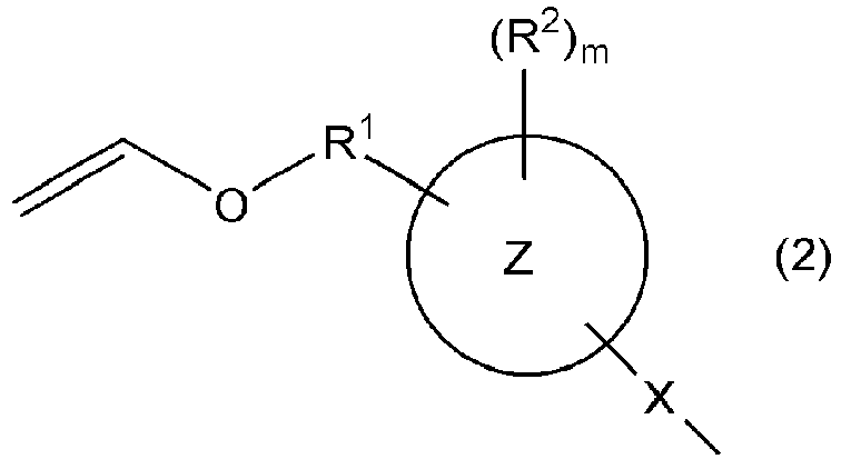 Figure imgb0051