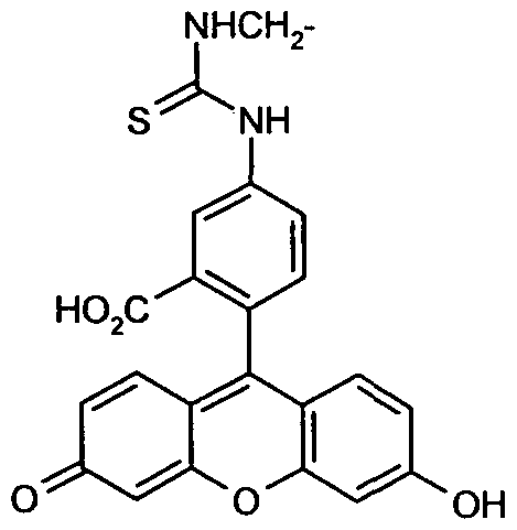 Figure imgf000025_0001
