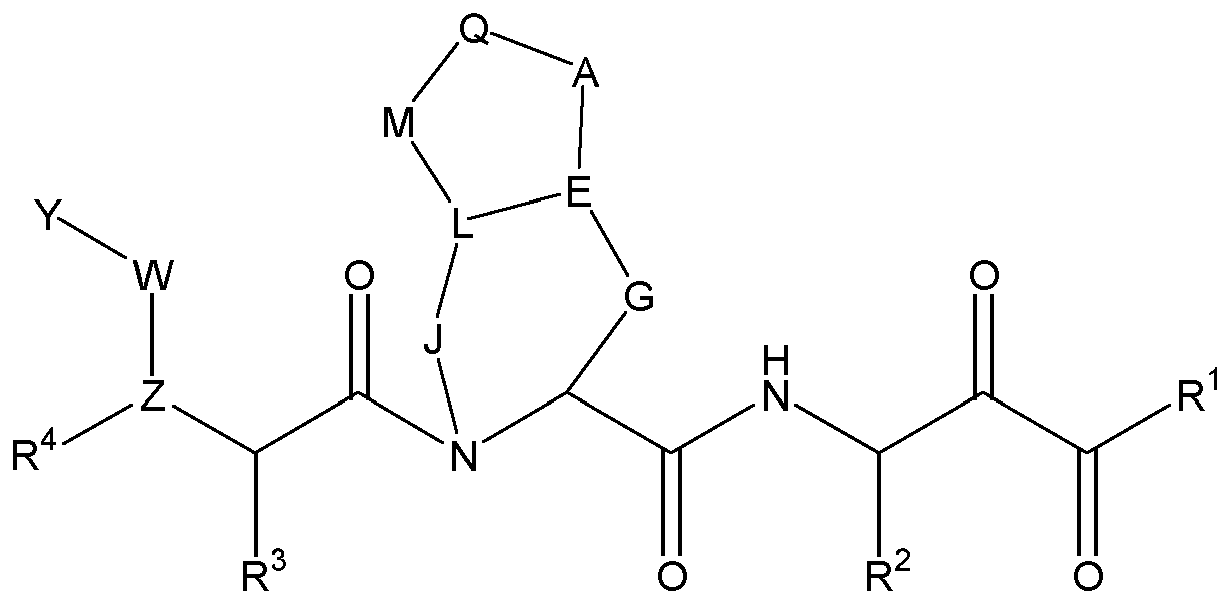 Figure imgb0004