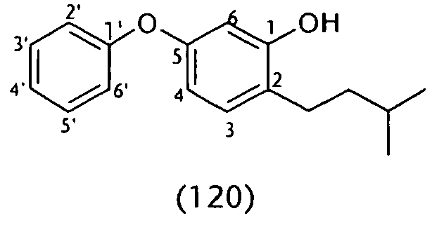 Figure imgb0055