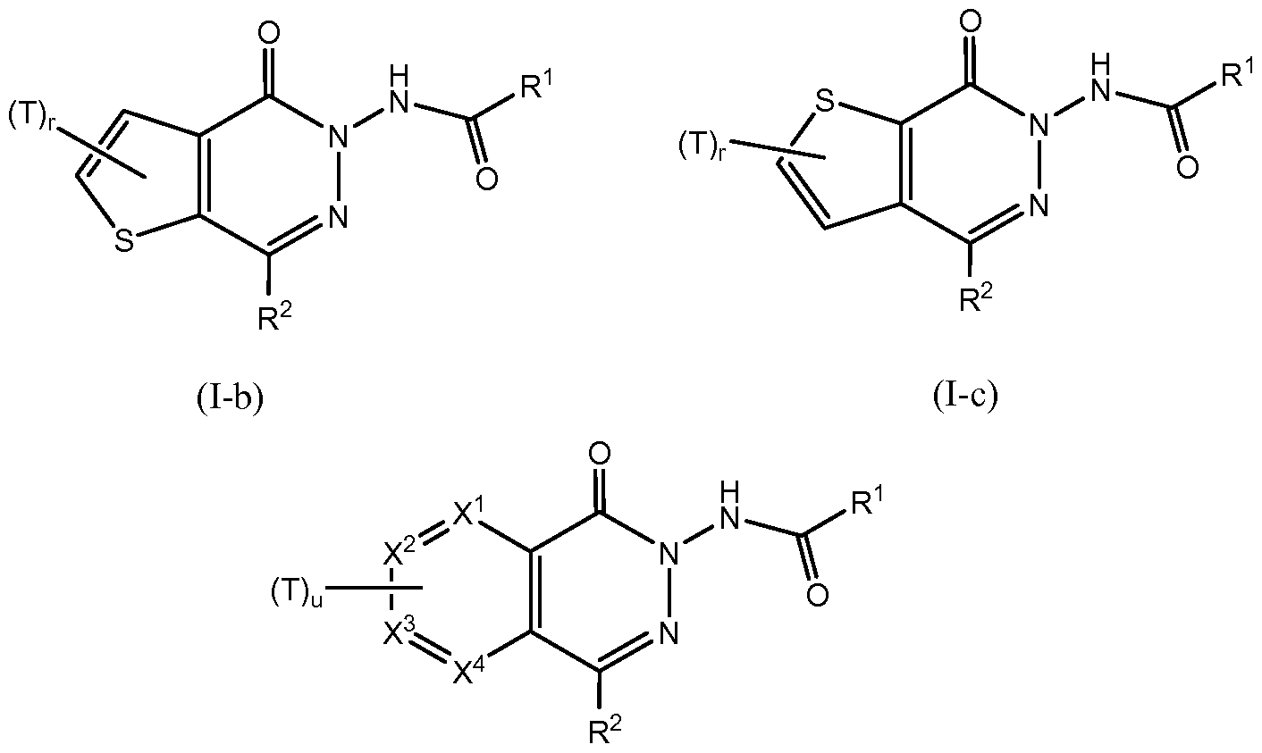 Figure imgf000013_0002