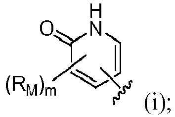 Figure imgb0081