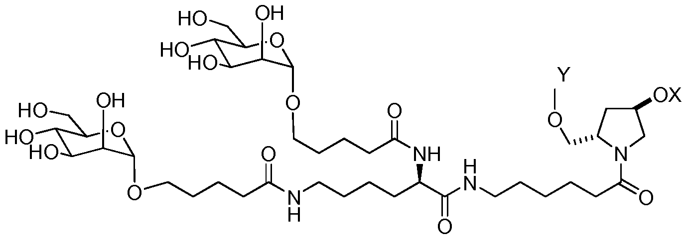 Figure imgf000041_0002