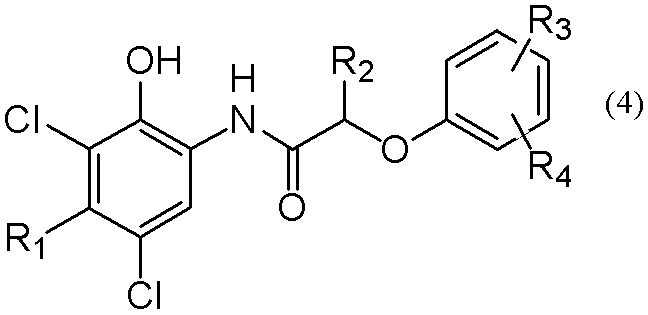 Figure 0005115972