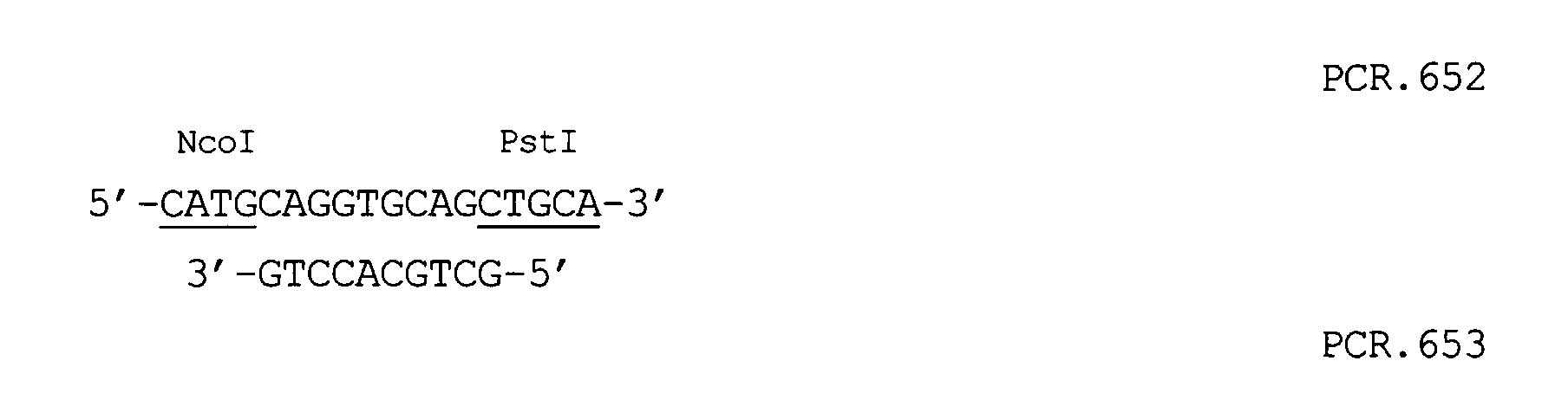 Figure 00310002