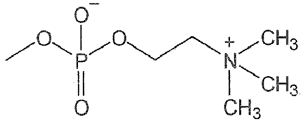 Figure imgb0050