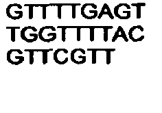 Figure imgb0519