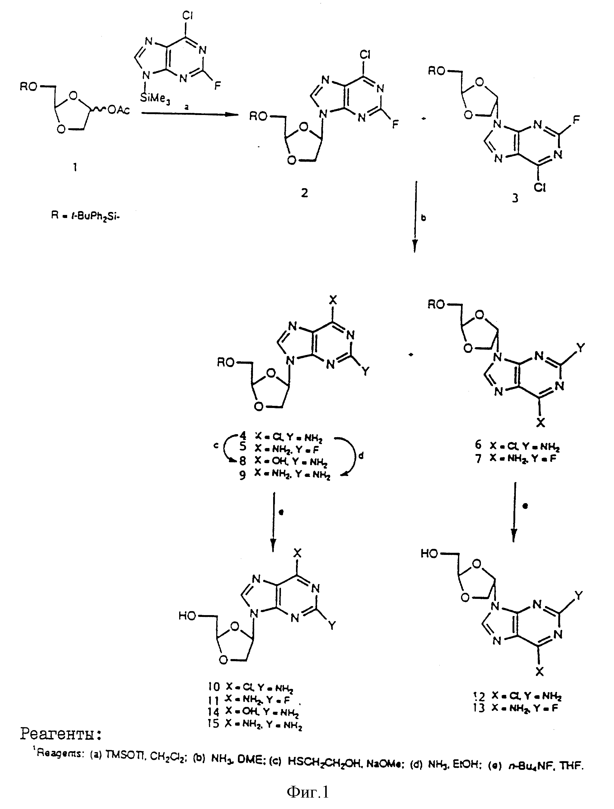 Ruc2 Method Of Treatment Of Patients With Infections Induced By Hepatitis B Virus Google Patents