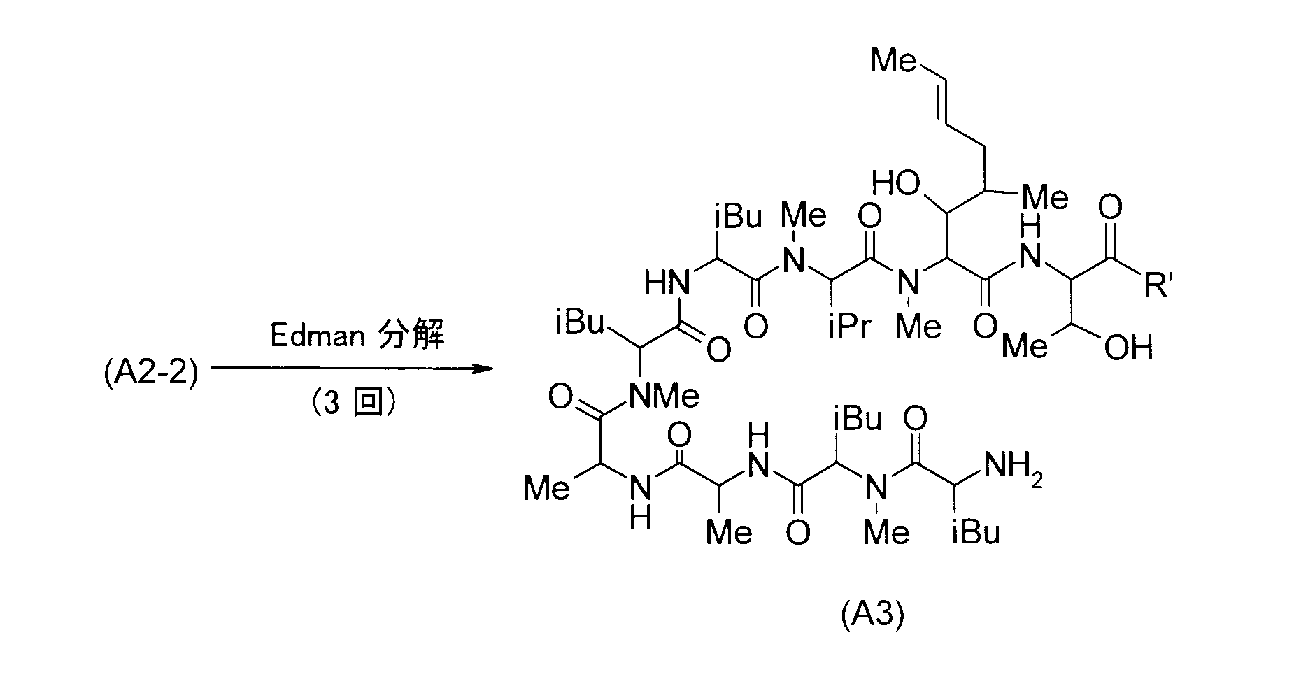 Figure JPOXMLDOC01-appb-C000016