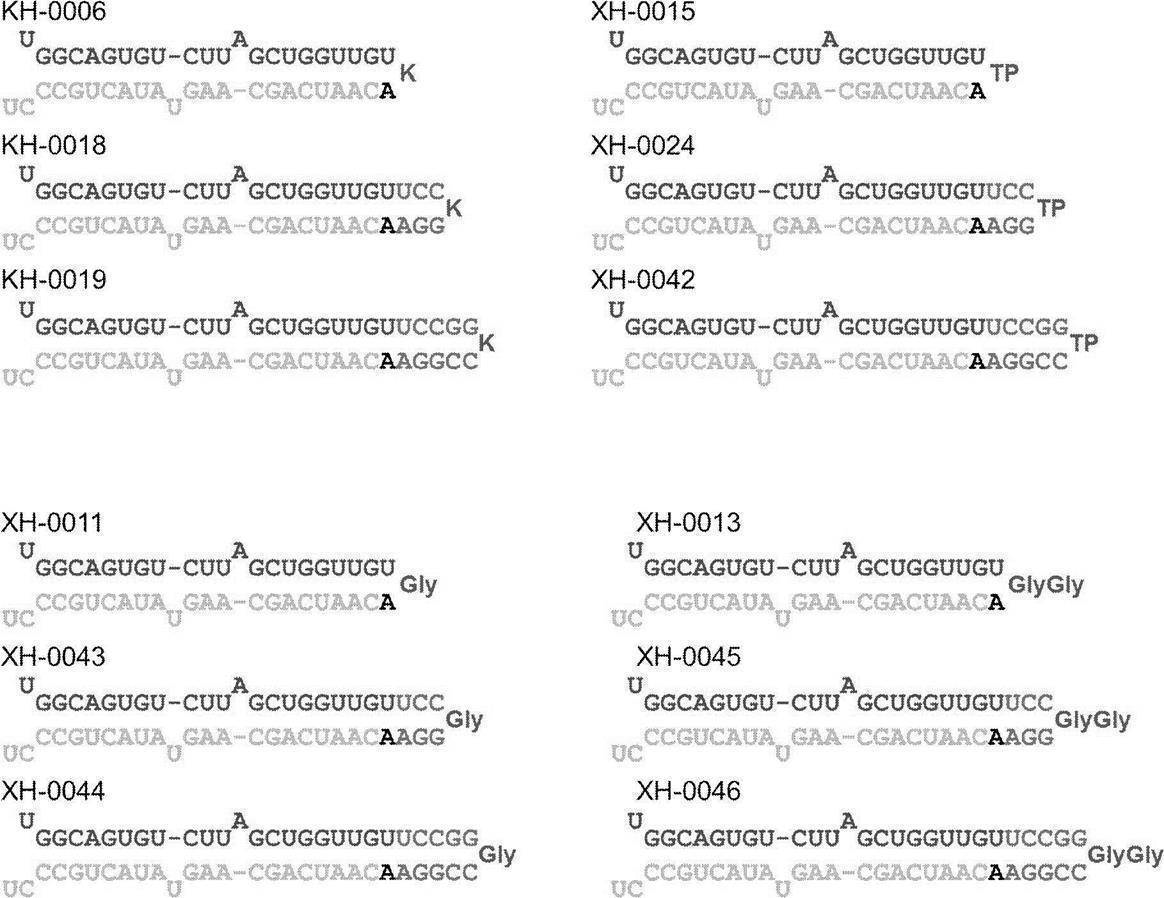 Figure JPOXMLDOC01-appb-C000044