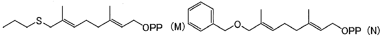 Figure imgb0043