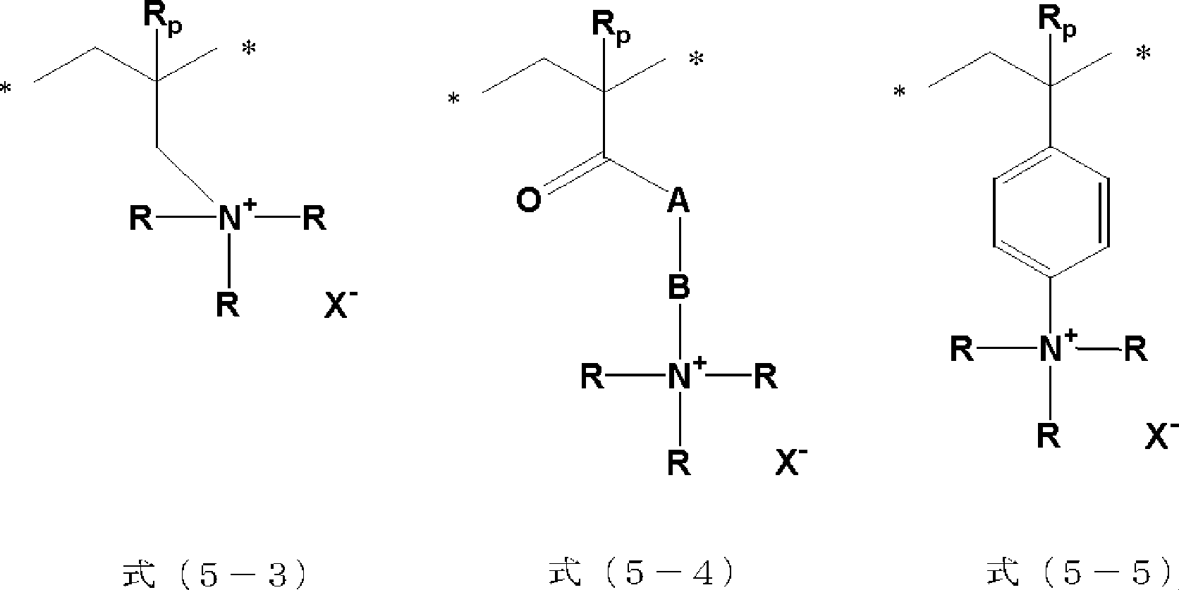 Figure JPOXMLDOC01-appb-C000024