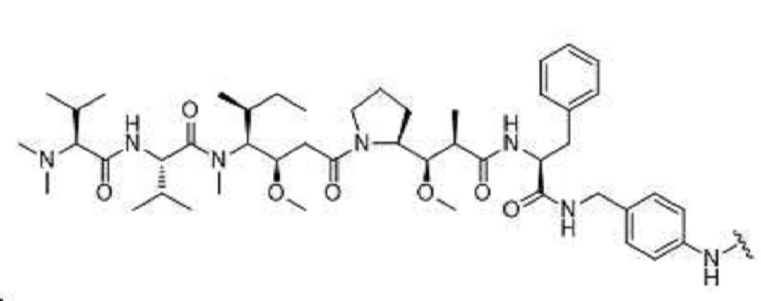 Figure pct00306
