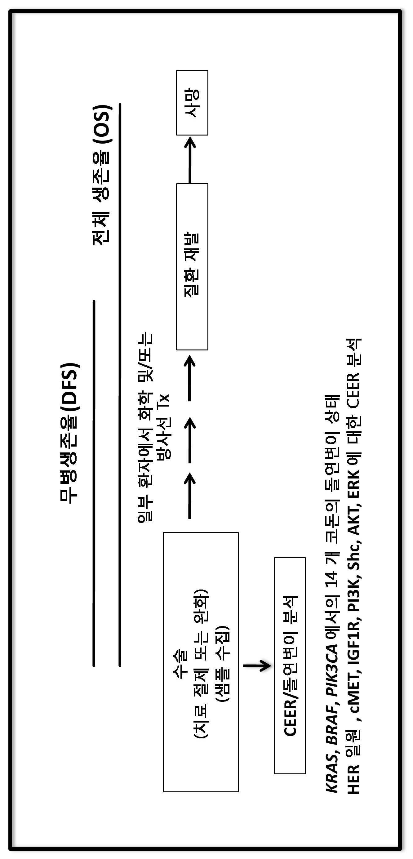 KR20160009070A - 대장암 환자의 생존율 예측 및 개선 방법 - Google Patents