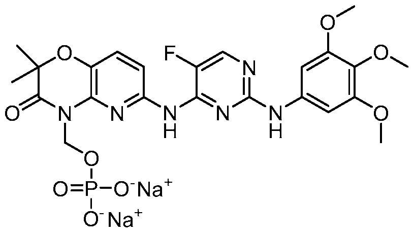Figure imgf000004_0002