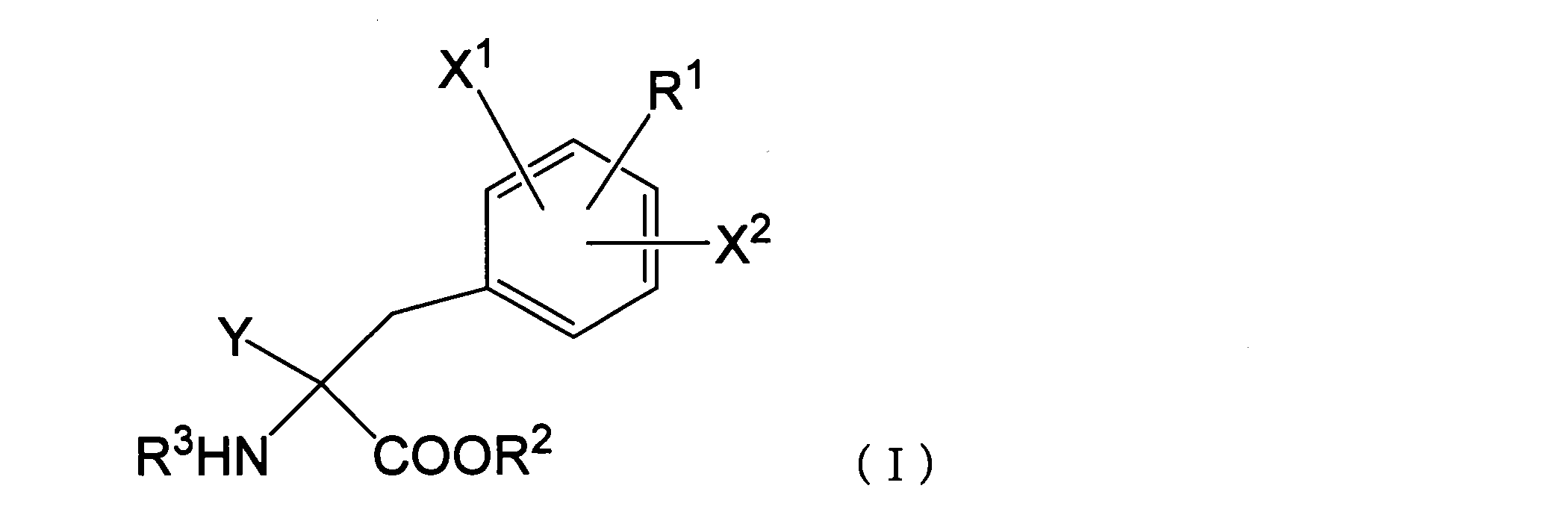 Figure JPOXMLDOC01-appb-C000009