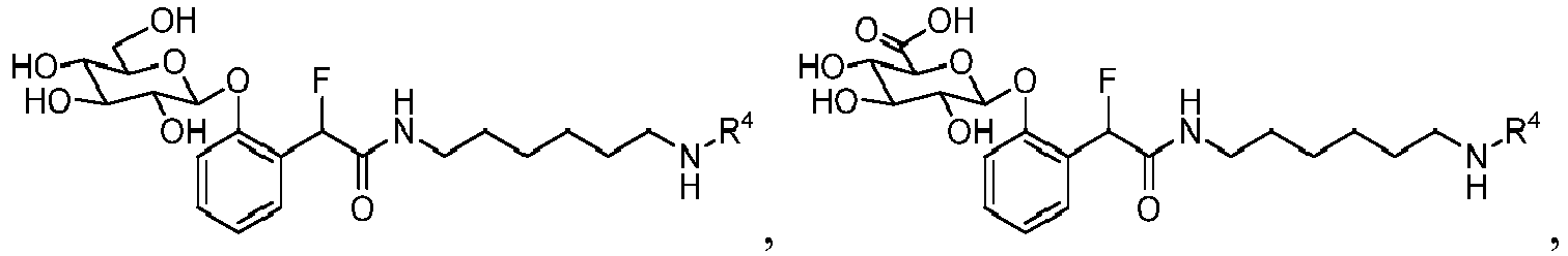Figure imgb0024