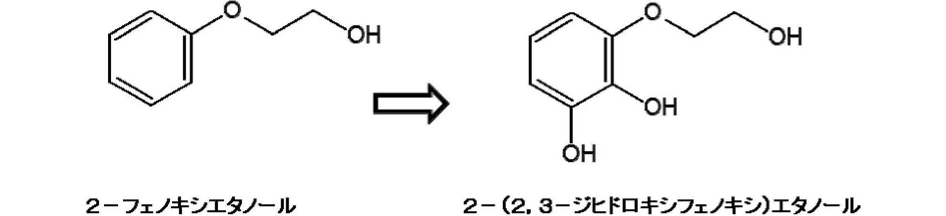 Figure JPOXMLDOC01-appb-C000048