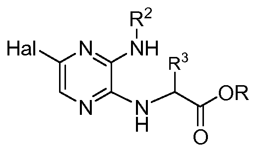 Figure imgf000053_0002