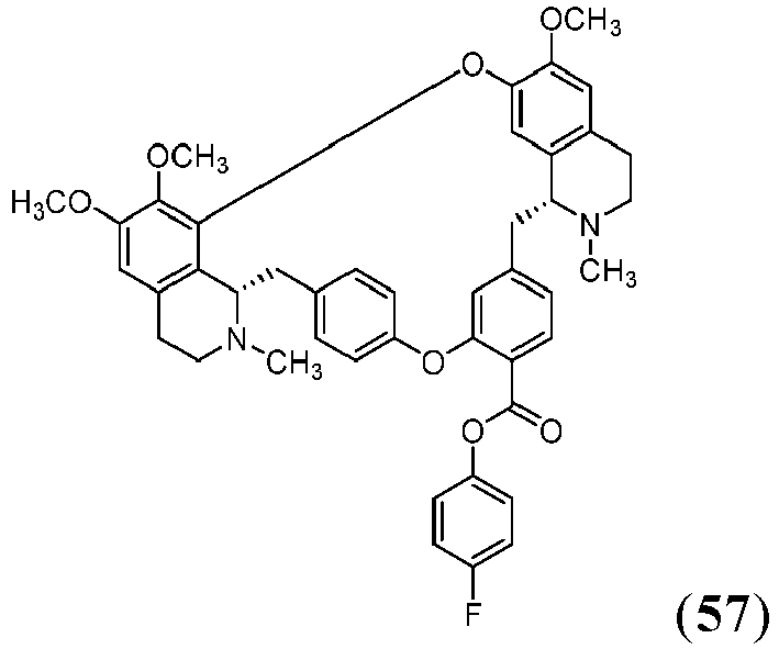 Figure imgb0089