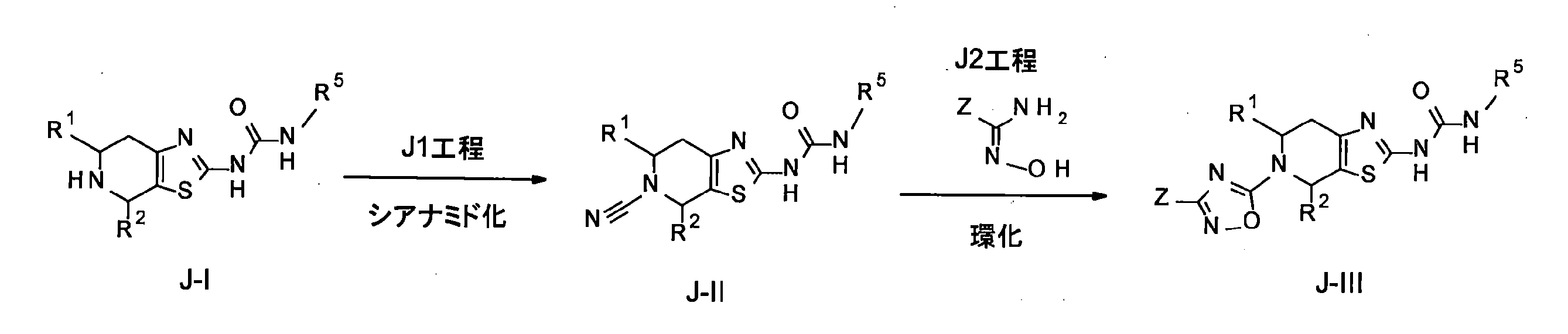 Figure JPOXMLDOC01-appb-C000063