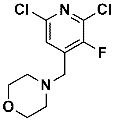 Figure pat00134