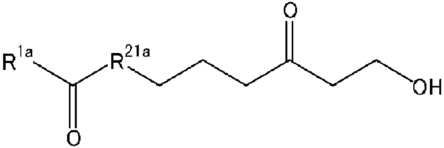 Figure imgb0100