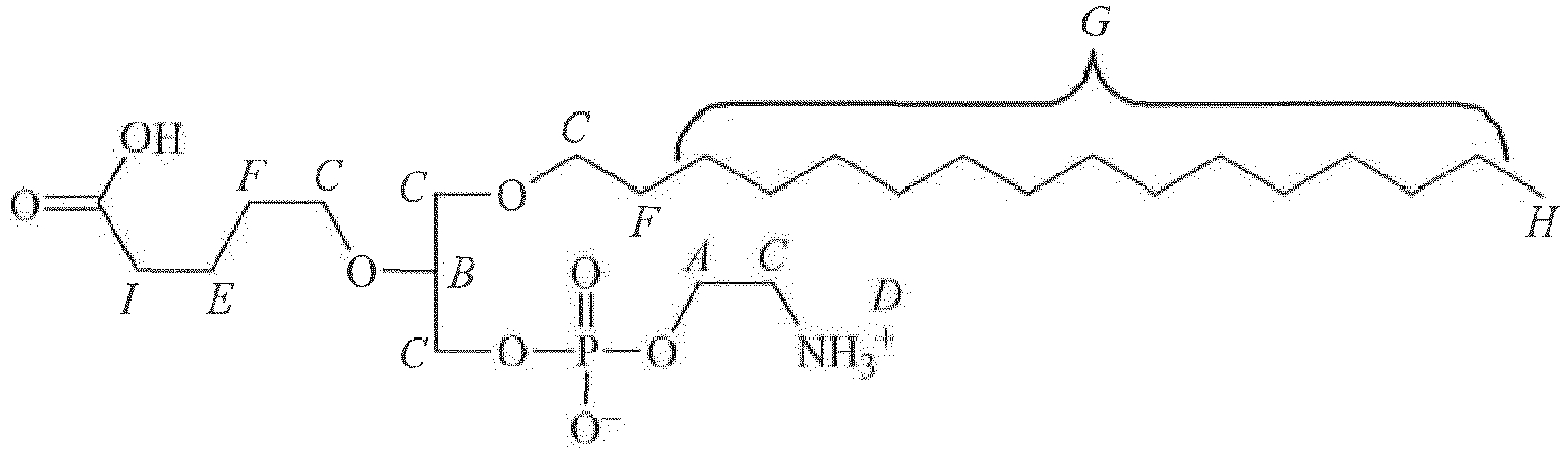 Figure imgb0045