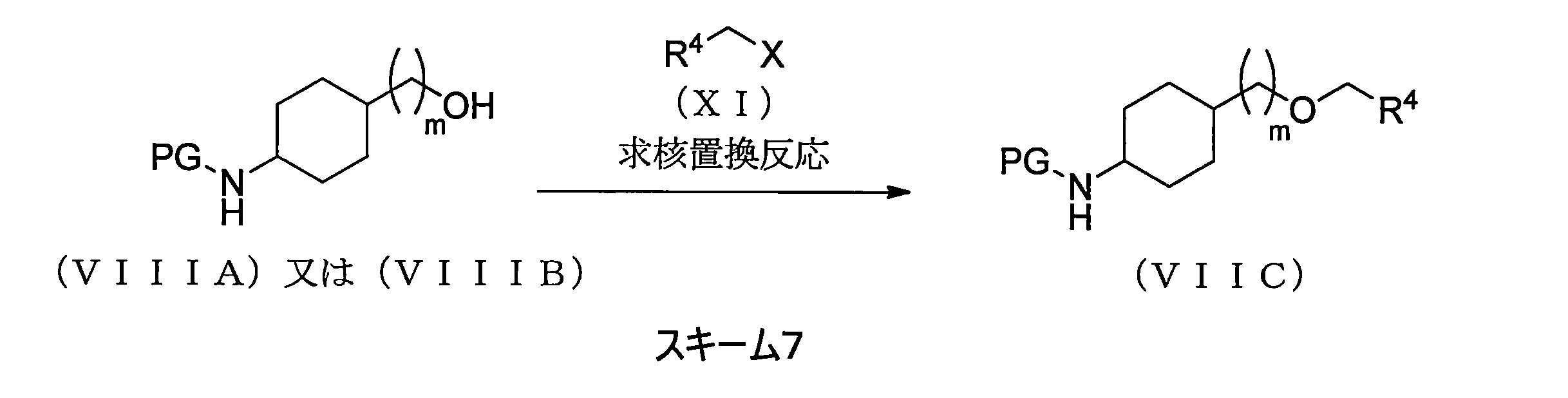Figure JPOXMLDOC01-appb-C000019