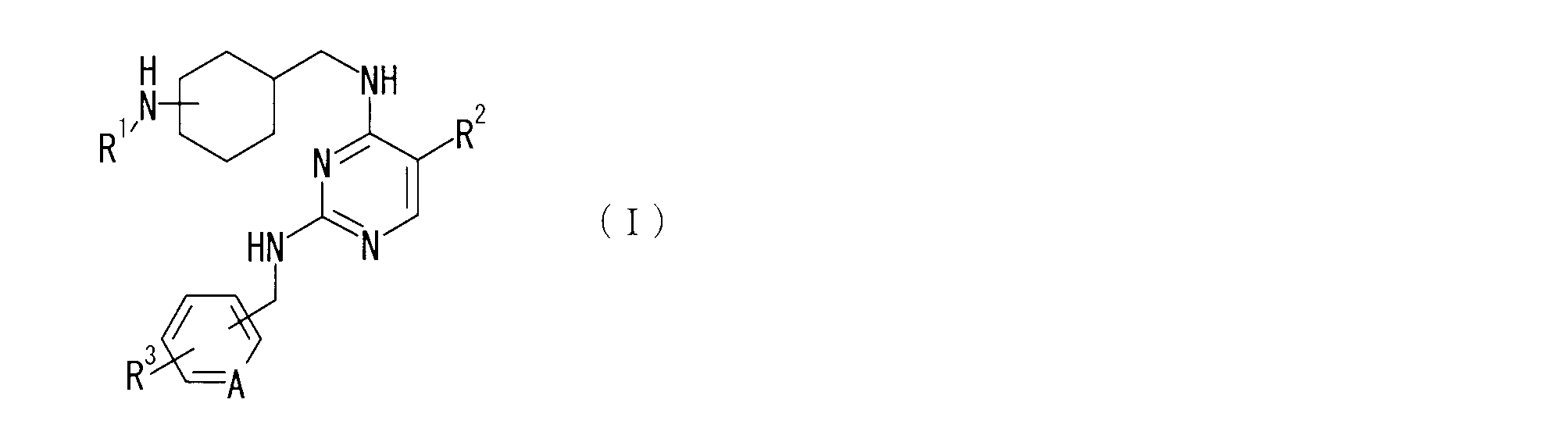 Figure JPOXMLDOC01-appb-C000013