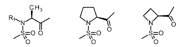 Figure JPOXMLDOC01-appb-C000102