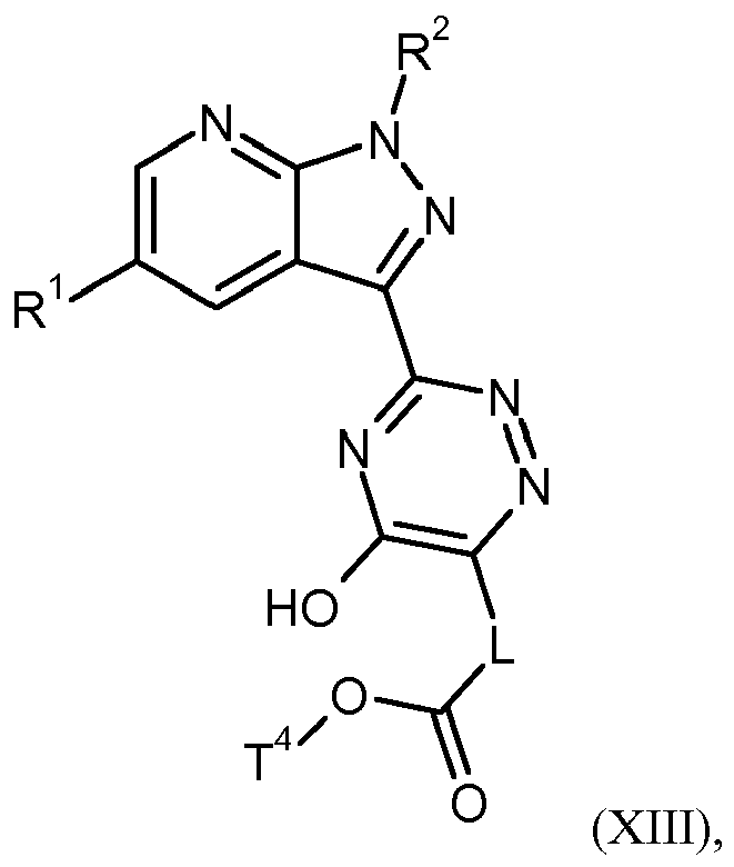 Figure imgb0163