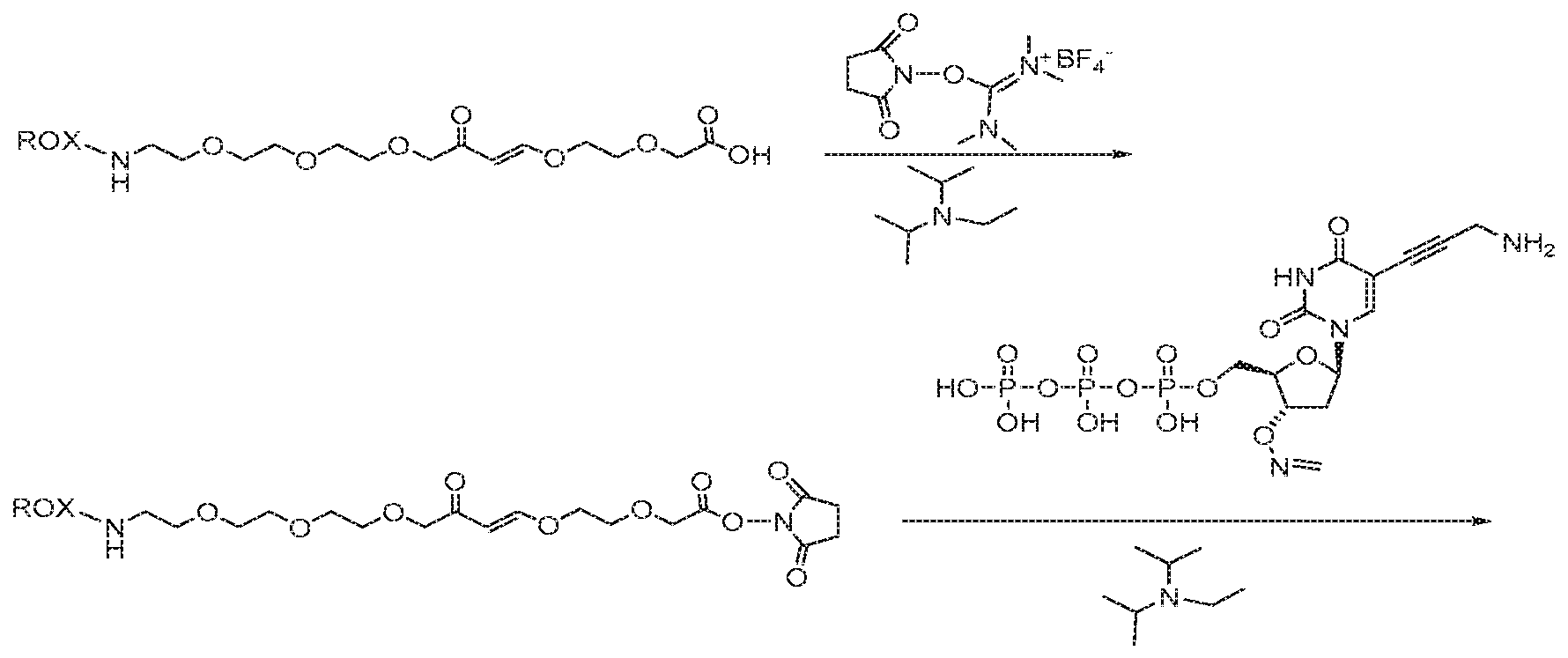 Figure imgf000053_0001