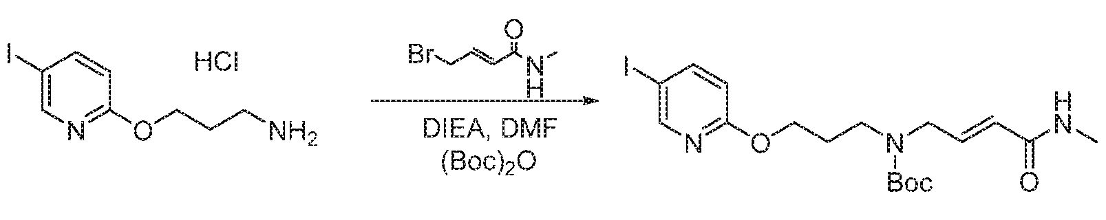 Figure imgf000167_0002