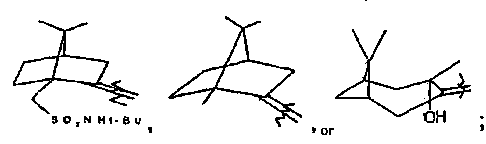 Figure imgb0025