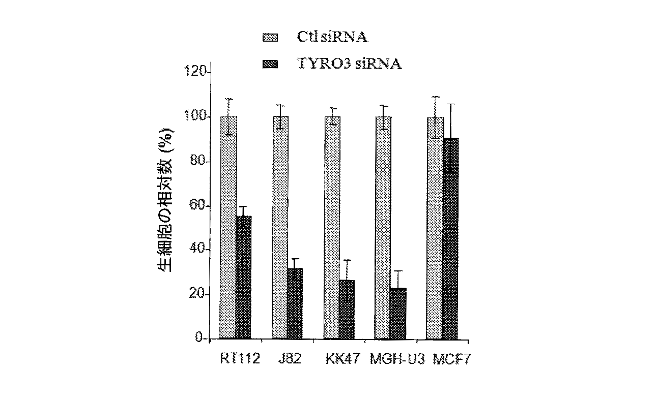 Figure 2012502955